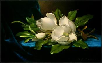 unknow artist Still life floral, all kinds of reality flowers oil painting  65